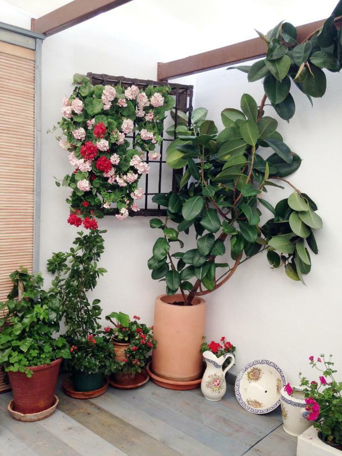 Patio San Lorenzo コルドバ エクステリア 写真